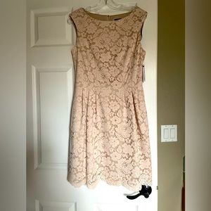 Vince Camuto lace dress
